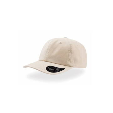 Basic Dad Hat — 9
